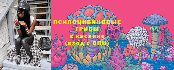 ГАЛЛЮЦИНОГЕННЫЕ ГРИБЫ Алексеевка